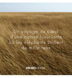 JUNGLE - Eau de Parfum